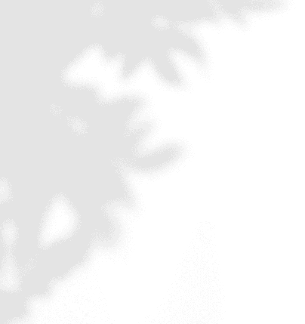 Graphism